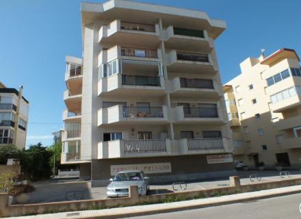 Roses santa margarita - 3 pièce(s) - 70 m2