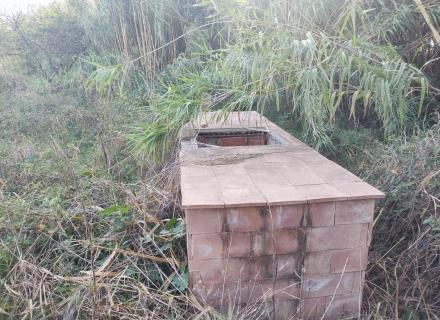 Grand terrain propice à la plantation de vignes.