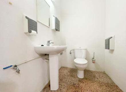 M NUÑEZ LOCAL (16).jpg