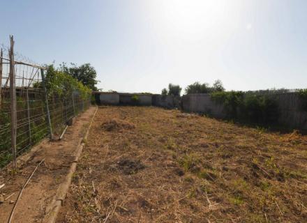 Huerto en figueres