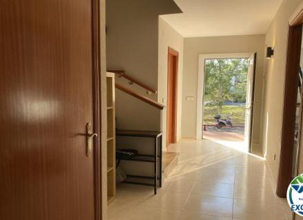 26db9f26e5877ade42f0ebfbb5b3020b_770x460.jpg