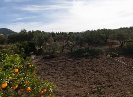 Finca rústica