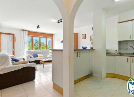 Puigmal park appartement 1 chambre avec piscine et jardins communs