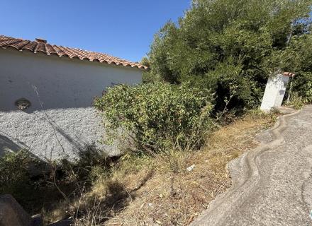 cfaa4bcc3d1daee3386bcb543cf45c79_1600x1024.jpg
