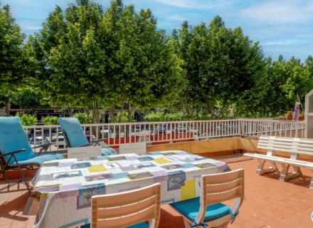 Preciós estudi reformat amb gran terrassa de 23m² al centre d'empuriabrava