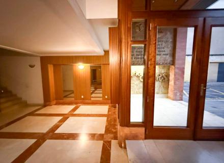 WhatsApp Image 2026-03-03 at 09.55.29 (1).jpg