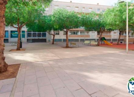 Dans le centre de roses