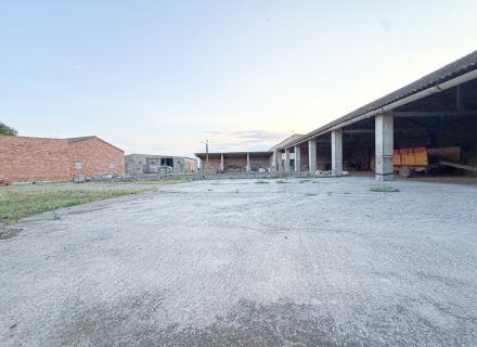 JRG-50.jpg