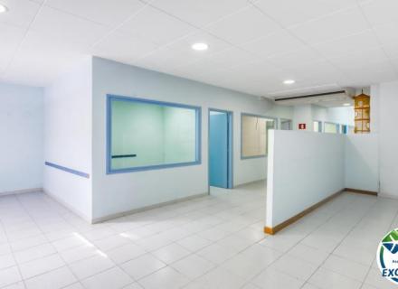 Oportunitat de negoci al cor de roses amb divisions ja habilitades