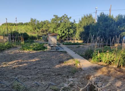Hort en venda amb llum i aigua, no edificable