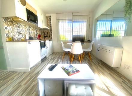 Em557a- apartament “els arcs”
