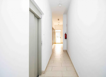 Captura de pantalla 2026-04-17 122004.png