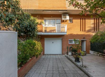 Olivar gran