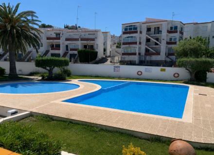 Super appartement avec piscine communautaire à roses jardins