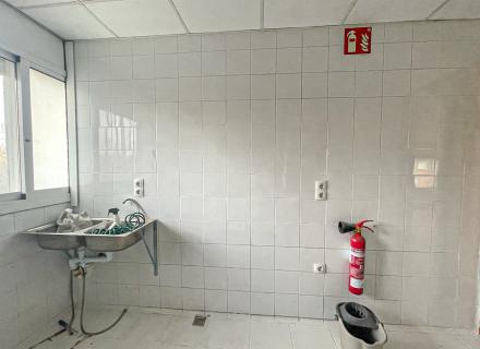 Plaçabascara-14.jpg