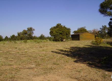 Terrain rustique de 18 000 m à garriguella