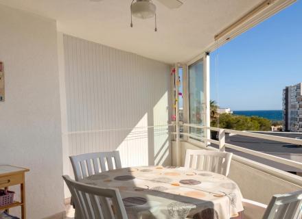 Apartament amb vistes al mar i terrassa — salatà, roses