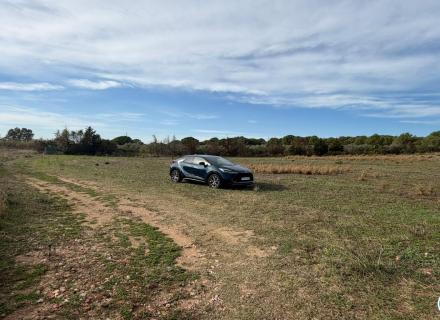 Terrain à vendre à roses