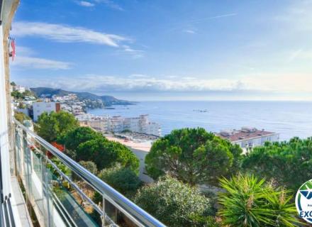 Excepcional apartamento con vistas al mar en canyelles-roses