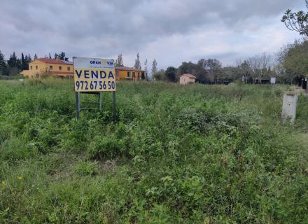 Imagen de WhatsApp 2024-11-15 a las 17.24.18_1a84cb26.jpg