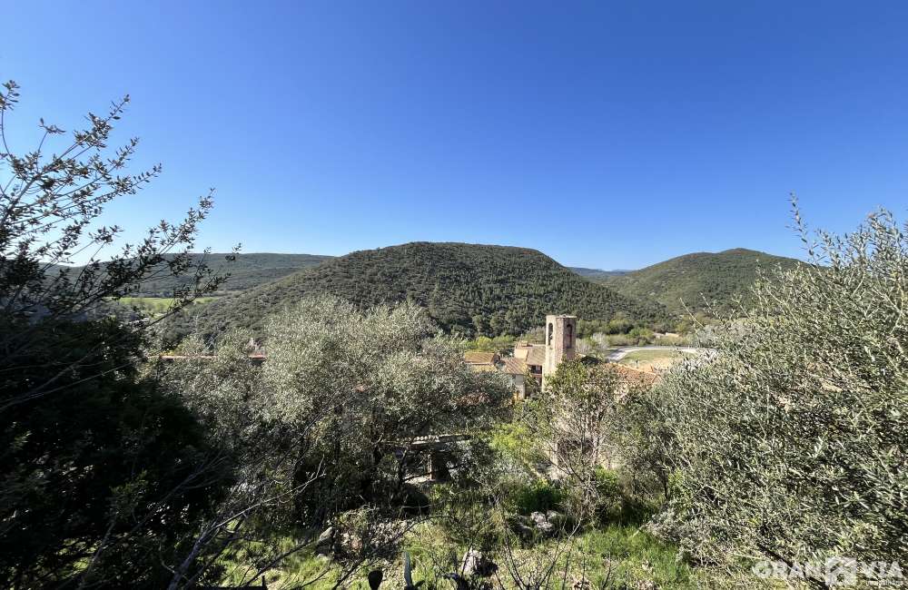 2c6c9b410a4147882789f53dfd962f78.jpeg