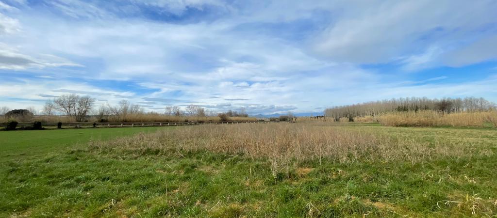 Propiedades en Venta