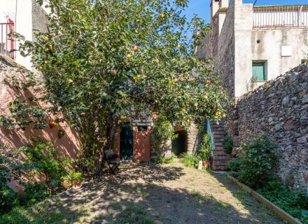 Casa de pueblo en venta (darnius)