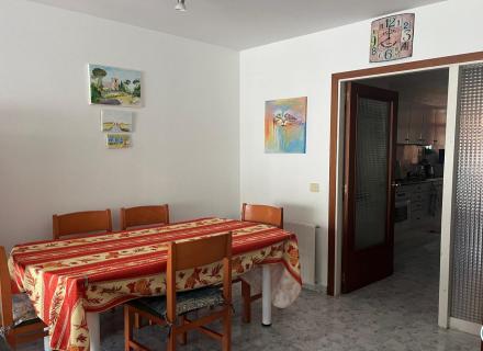Grand appartement avec ascenseur au centre de roses.