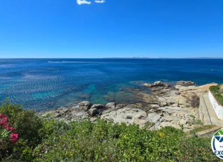 0c2b16e83fcd9cdf2c334511df01293d_770x460.jpg