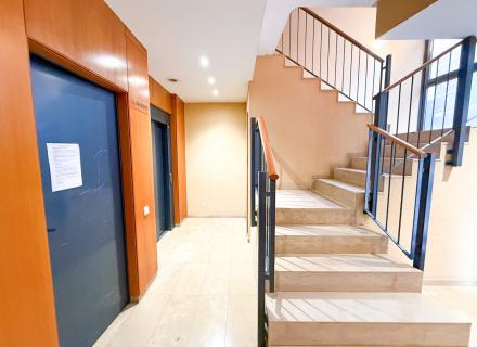 WhatsApp Image 2026-02-26 at 13.18.33.jpg