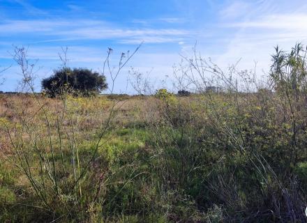 2fc49a4821d600c8b698065b0c2b5989_1600x1024.jpg