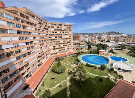Estudi amb llicència turística.