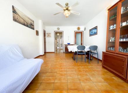 Apartament de 2 habitacions a 100m de la platja del port de llançà