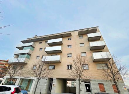 AV SALVADOR DALI 15-11.jpg