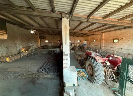 JRG-80.jpg